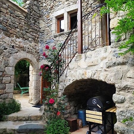 Les Chataigniers Gites Du Mas Haut Saint-Jean-du-Gard Exteriér fotografie